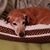 Raimee Unger Spizman's profile image