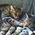 Jo-Ann English Evans's profile image