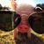 Cheryl Bartoszewski Summers's profile image