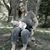 Jaclyn Marie Bement's profile image