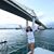 Marie Euwen Lao Galindo's profile image