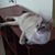 Tim Natividad's profile image