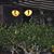 Debbie Shemanski's profile image