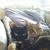 Brandi Greeson's profile image