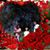 Kalley Mason's profile image