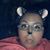 Renee Craycraft's profile image