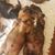 Josefina Salvador's profile image