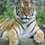 Jeffrey McGraw's profile image