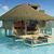 Sharon Hendershot Warner's profile image
