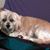 Bev Fantich's profile image