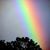 Patricia A Lockley's profile image