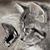 Mary Jo Bauer Dreisbach's profile image