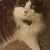 Beth DeGroot's profile image