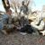 Brett Tuzas Jr.'s profile image