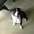 MelissaRandy Waggoner's profile image