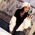 Ashlyn Alexander's profile image