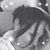 Cecy Cast's profile image