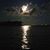 Meg Crase Fitzgerald's profile image