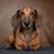 Wendy Halverson's profile image