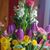 Janne B Angus's profile image