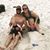 Molly Susanne Buckner's profile image