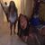 Nadia Morencie's profile image