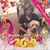 Patricia Erwin-fuller's profile image
