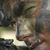Joe Gauntt's profile image
