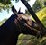 Carla Hight's profile image