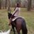 Holly Wingler's profile image