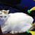 Midge Edwards's profile image