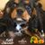 Linda Gnojek's profile image