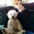 Barbara Travers's profile image