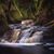 Gina Rashe-Hammon's profile image