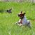 Cheri A Heath-Wilson's profile image