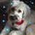 Evelyn Sullins's profile image