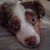Jessica Minard's profile image