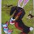 Lori Mayhue's profile image