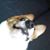 Jay Manio's profile image