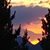 Eileen Grebowiec's profile image