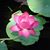 Jennifer L McMillan's profile image