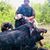 Michael Ryan Shelton's profile image