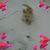 Lesley Bergamesco's profile image