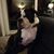 Ilona Van Harte's profile image