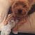Brenda Bushman Sherwood's profile image