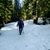 Judy L Ellis's profile image