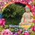 Missy Haskill's profile image