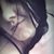 Shyloh Wells's profile image