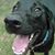 Terri Lawson Harrison's profile image