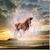 Gary Kman's profile image